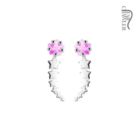 Pair of Shooting Star WildKlass Ear Crawler/Ear Climber